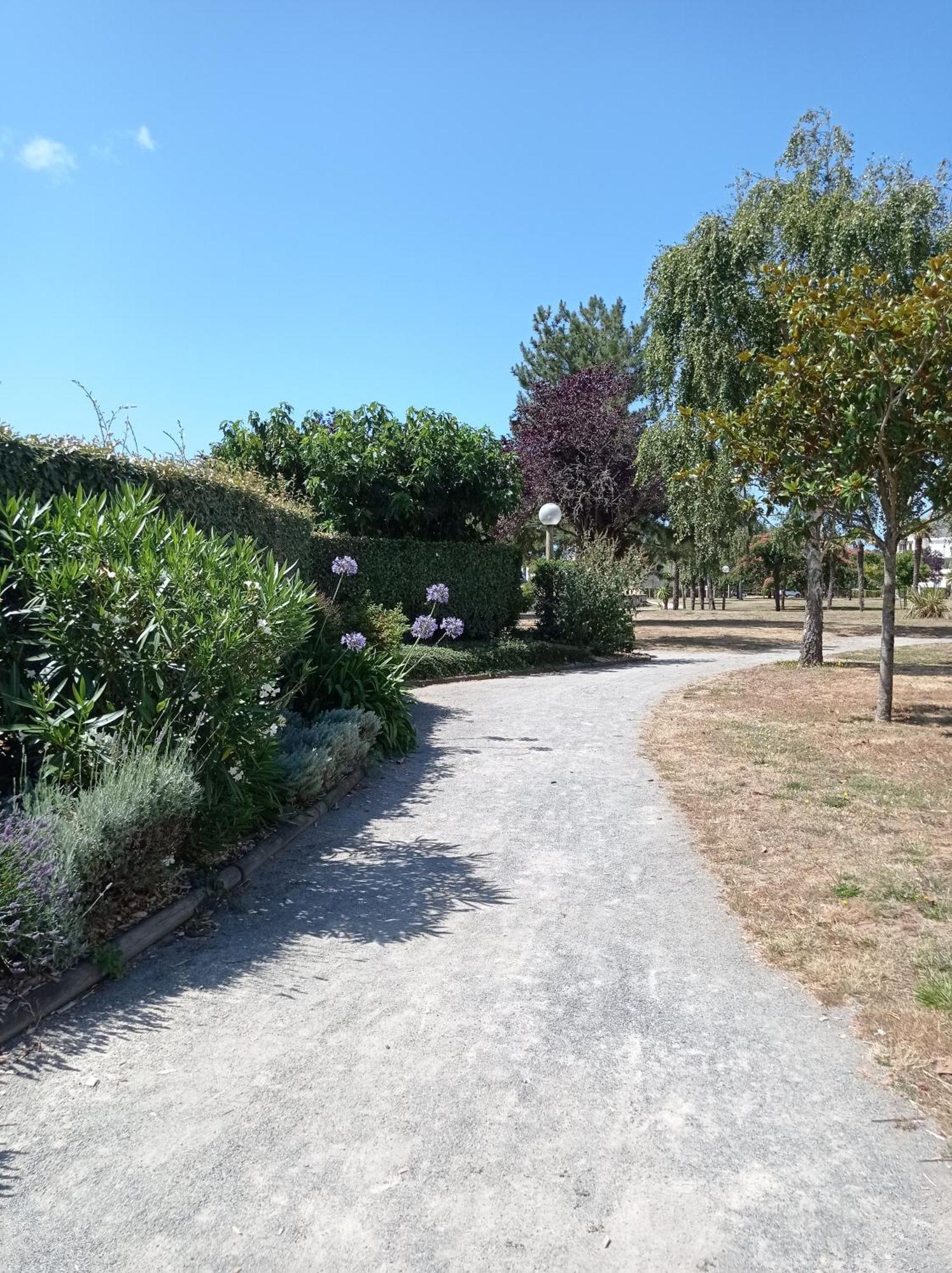 Apartment Cocon Moderne, Piscine, Parking, Proche *
